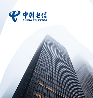 中國(guó)電信案例